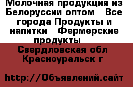 Молочная продукция из Белоруссии оптом - Все города Продукты и напитки » Фермерские продукты   . Свердловская обл.,Красноуральск г.